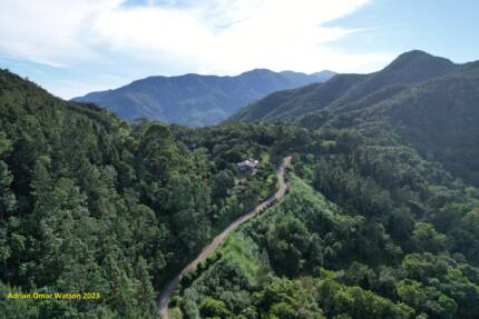 Montañas boscosas en Jamaica